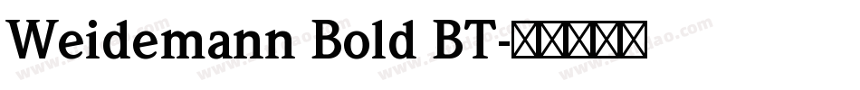Weidemann Bold BT字体转换